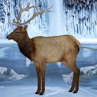 Games2rule Frozen Land Elk Rescue