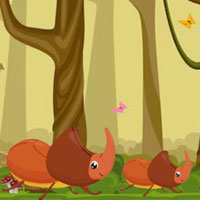 Free online flash games - G2M Insect Tablet Hunt