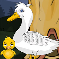 G2J Operation Momma Ducky Rescue