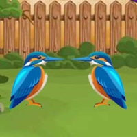 Free online flash games - G2L Kingfisher Rescue Escape