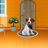 G2M Dog House Escape