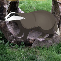 Wowescape Wild Badger Rescue