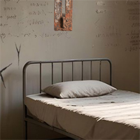 Free online flash games - 365 Prison Cell Escape