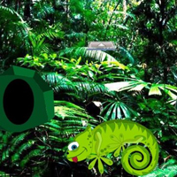 Chameleon Rain Forest Escape HTML5