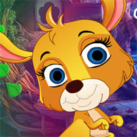G4K Happy Kangaroo Rescue