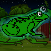 G2J Rescue The Green Toad From Underground
