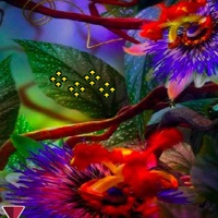 Dreaming Thanksgiving Forest Escape