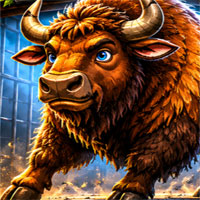 Free online flash games - Wild Buffalo Rescue
