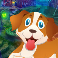 G4K Find Pet Dog