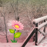 Big Escape From Snow Forest