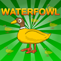 Games2Jolly Waterfowl Rescue