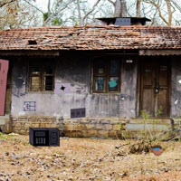 GFG Desolate Forest House Escape