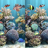 Underwater Reefs