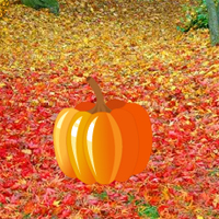 Big Thanksgiving Lawn Forest Escape