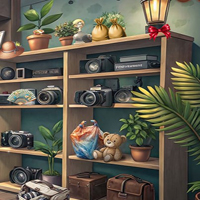 Free online flash games - Snapshots of the Past