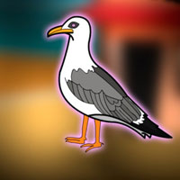 Free online flash games - Free the Seagull from the Cage