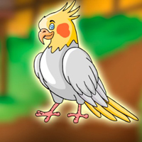 Free online flash games - G2J Save the Cockatiel Bird