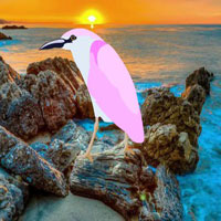 Woodpecker Escape From Island HTML5