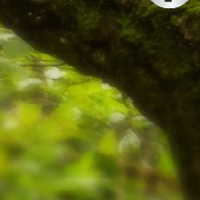 5N Escape King Of Puzzles 1