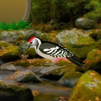 Adventure Alphapets Forest Escape HTML5