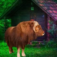  Musk Ox Forest Escape HTML5