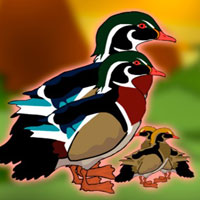 Free online flash games - G2J Rescue the Wood Duck Family