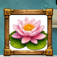 Free online flash games - Discover Aqua Buddy Riko