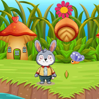 Free online flash games - Wow Starving Bunny Find Vegetables