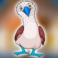 Free online flash games - Rescue the Locked Booby Bird