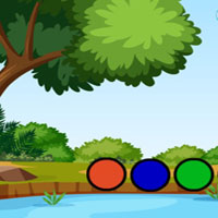 Free online flash games - G2M Shark Fuel Escape
