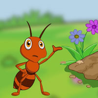 Free online flash games - Save the Ant House