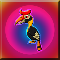 G2J Helmeted Hornbill Rescue