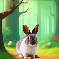 Free online flash games - G2M Rescue the Locked Kitten