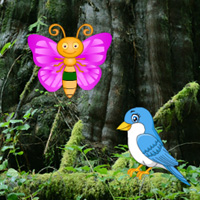 Big Seral Forest Escape