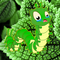 Wonder Worm Leaf Forest Escape