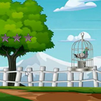 G2M Rescue The Pigeon