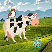 Free online flash games - Wow Stop To Crying Mom Cow