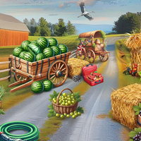 Free online flash games - Countryside Friends