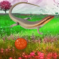 Skink Mountain Escape