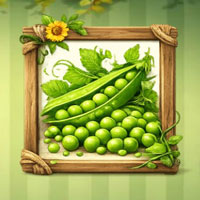 Free online flash games - Discover Veggie Grower Nolan