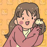 Free online flash games - 8B Find the Intelligent Hamster