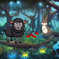Free online flash games - G2R Discover Black Sheep Infant