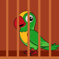 Free online flash games - G2M Trapped Parrot Escape