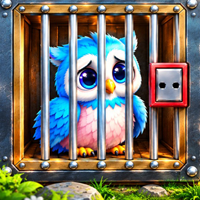 Free online flash games - Rescue the Fluffy Owl