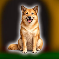 Free online flash games - Help the Chinook Dog Escape