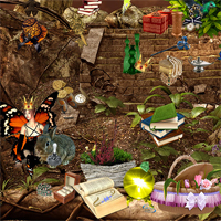 hidden247 hidden247