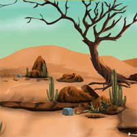 Games4Escape Fennec fox desert Escape