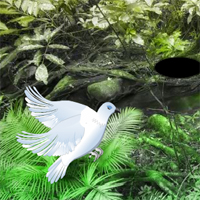 Wow Wonder Couple Dove Escape