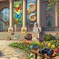 Free online flash games - Curious Mystery