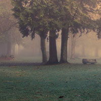 Free online flash games - Dark Foggy Land Escape HTML5